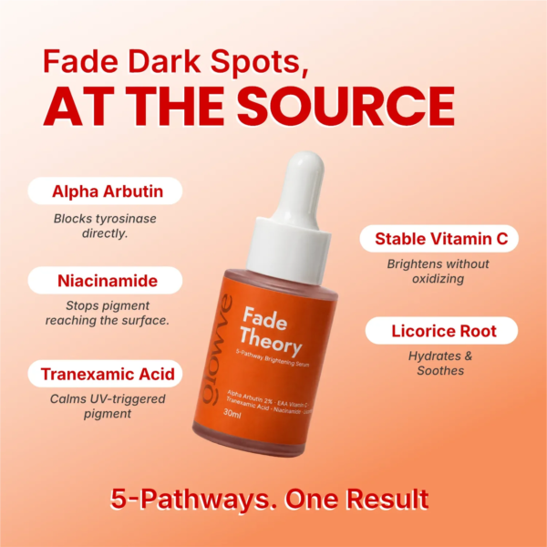 The five actives in Fade Theory serum — alpha arbutin, niacinamide, tranexamic acid, stable vitamin C and licorice root
