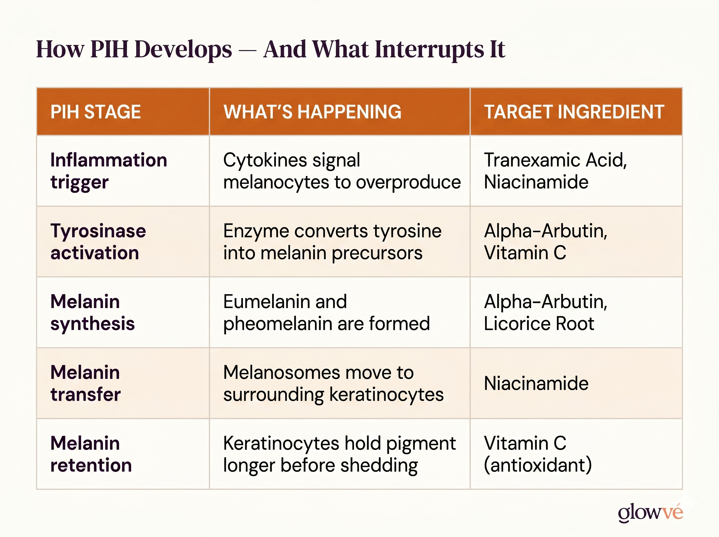 How PIH Develops — And What Interrupts It